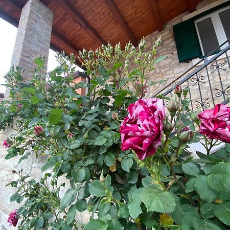 Villa Kortina Basanija Bagian luar foto