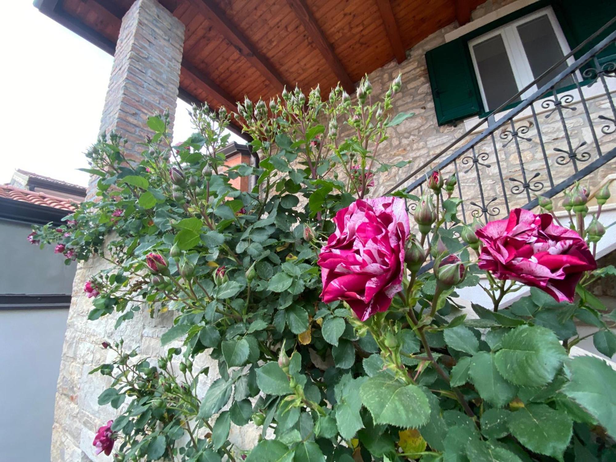 Villa Kortina Basanija Bagian luar foto